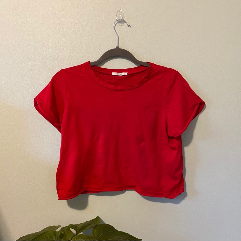 🌸4 for $10🌸 Red Crop Top